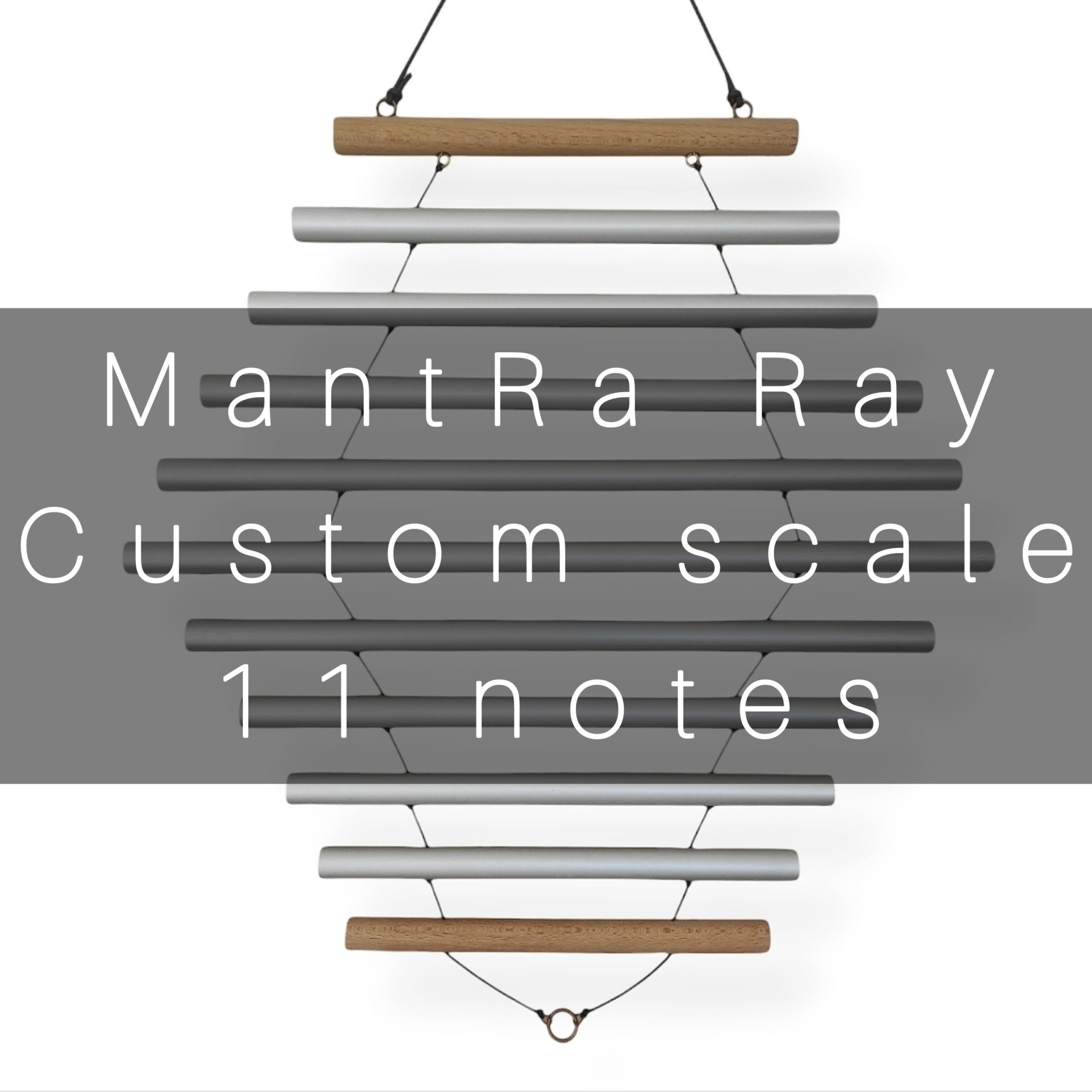 MantRa Ray - 11 notes - Custom scale
A D Bb F D A E A E F G